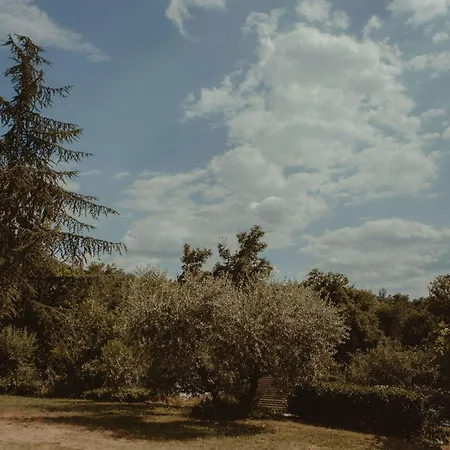 Villa Marina Terranuova Bracciolini